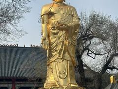 -哈尔滨极乐寺