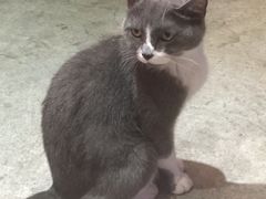 -MIKAKU(万达广场上海宝山店)