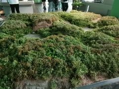 -中国湿地博物馆