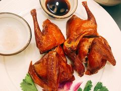 红烧乳鸽-沙龙酒家