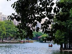 -荔湾湖公园