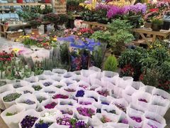 -双季花艺园艺市场(浦东店)