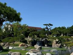 -罗红摄影艺术馆