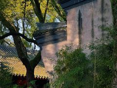 -天一阁博物院