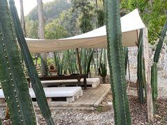 -MOJ coffee(瓯海泽雅水碓坑店)