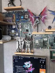 -越域刺青