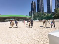 -名驭国际马术学院