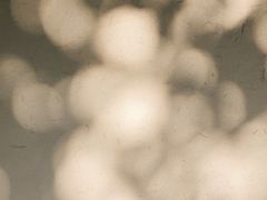 -南紀白浜 浜千鳥の湯 海舟