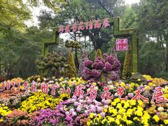 -杭州植物园