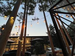 -桉树林A coffee 森林餐厅(三圣乡店)