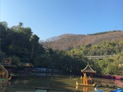 -西双版纳原始森林公园