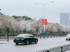 -花都广场
