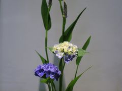 -乐领拈花溪·林涧食韵
