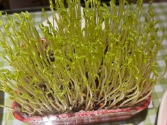 -番食园鲜食火锅(高新店)