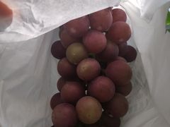 -美家乐农庄·露营·团建(大治路店)