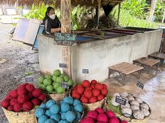 -大象粑粑造纸公园