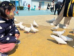 -芜湖新华联大白鲸海洋公园