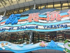 -海合安成都极地海洋公园