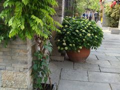 -回龙窝历史文化街区