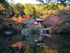 -醍醐寺