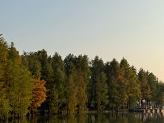 -上海长兴岛郊野公园