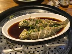 清蒸小黄鱼-黄寺蒸汽海鲜(黄寺大街店)