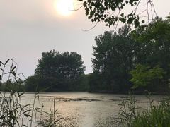 -溱湖国家湿地公园