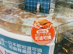 -大锅强·蒸海鲜青岛菜(吾悦广场店)