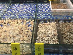 -晶莹品鲜.顺德鱼生.特色桑拿菜