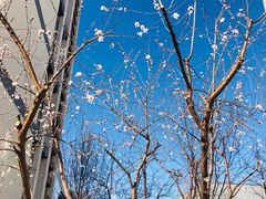 -中央财经大学-食堂