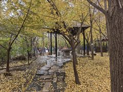 -香木香羊(小汤山店)