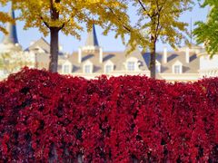 -北京张裕爱斐堡酒庄