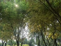 -燕郊植物园