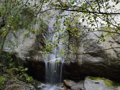 -王顺山国家森林公园