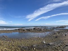 -海合安青岛极地海洋公园
