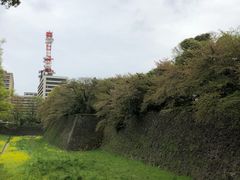-名古屋城