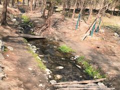-白水寺森林公园