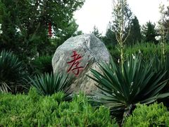 -大槐树寻根祭祖园