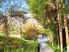 -龙头寺公园