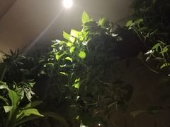 -万记麻辣烫国展总店