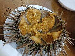 -海胆小馆(东北水饺·春柳店)