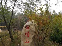 -黄椅山火山森林公园