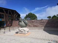 -广东惠东海龟国家级自然保护区