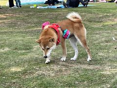 -钟山体育运动公园