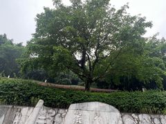 -龙头寺公园