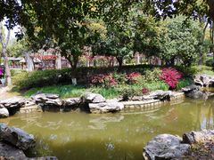 景点-朱家角课植园