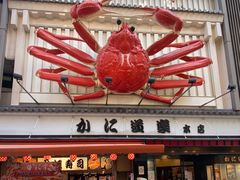 -蟹道乐(道顿堀本店)