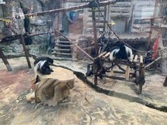 -灵玲国际马戏城