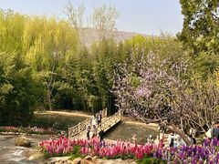 -沂蒙云瀑洞天景区