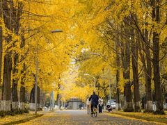 -四川大学(望江校区)